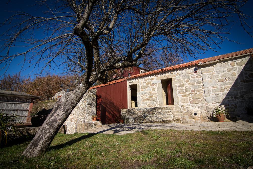 Casas Dos Avos Guest House Vale de Cambra Room photo